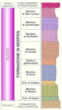 Membri degli strati di Werfen